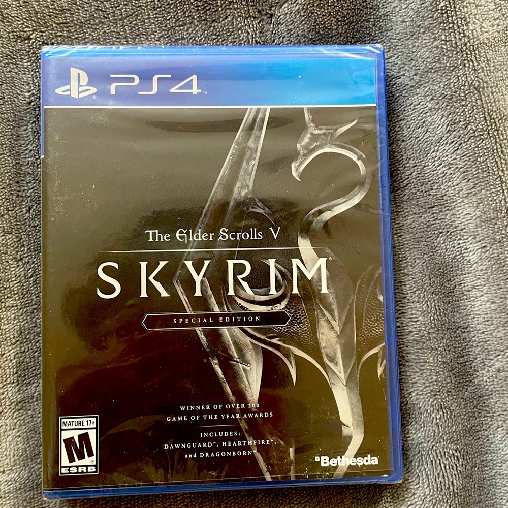 PS4 video game